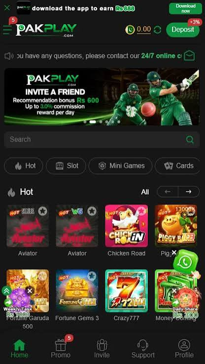 PAKPLAY Game Image