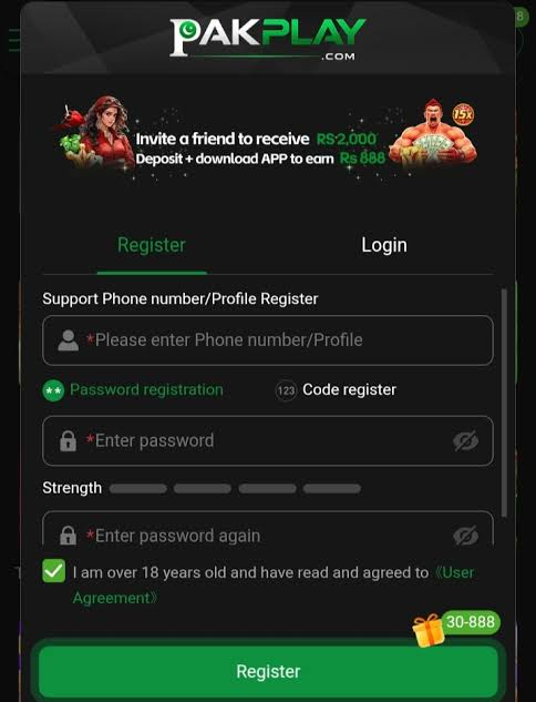 PAKPLAY Game Image