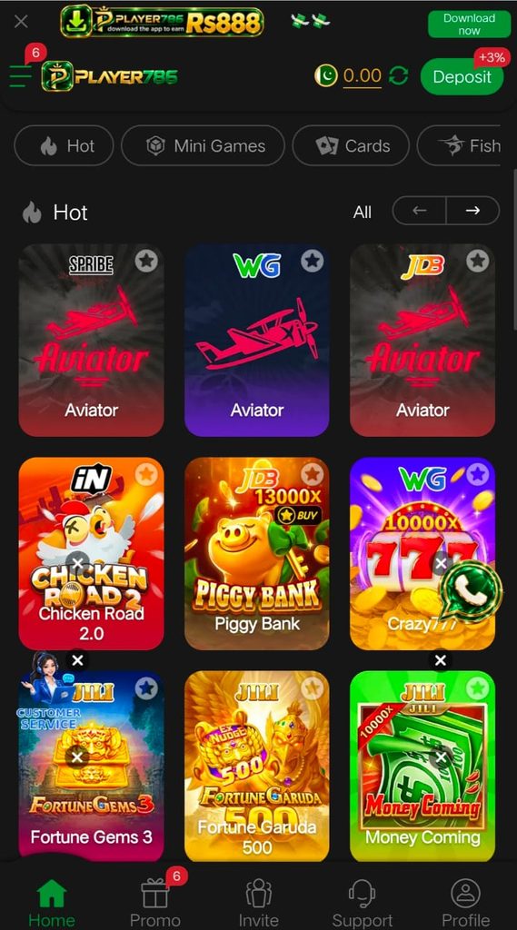 Player786 Game Image